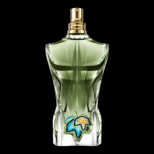 JEANS GOLTIR FRAGRANCE - SUPPLIER - Hustleplace